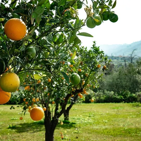 Resilienza Capo d'Orlando